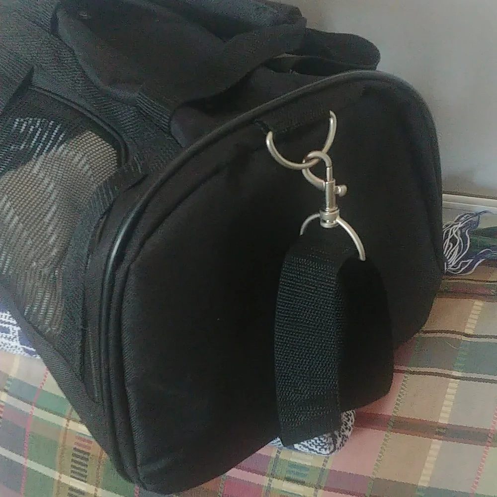 Small Pet Carrier